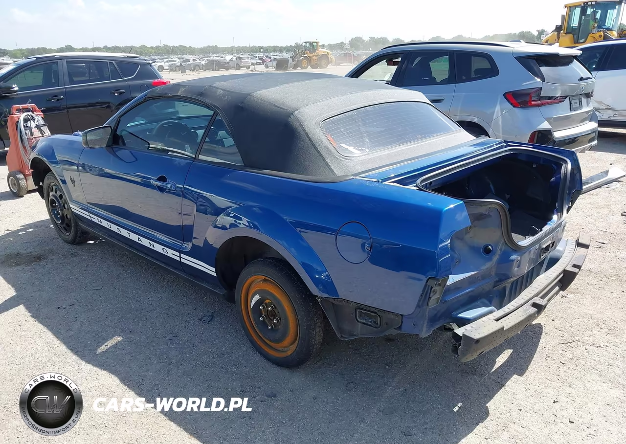 2009 Ford Mustang V6-V6 Premium VIN:1ZVHT84N695115553 - 3