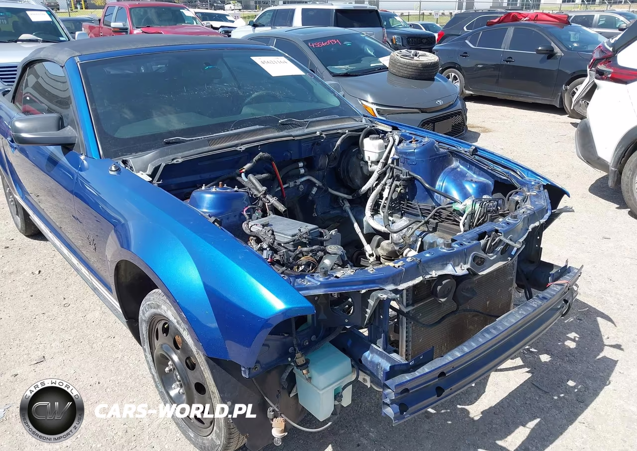 2009 Ford Mustang V6-V6 Premium VIN:1ZVHT84N695115553 - 6