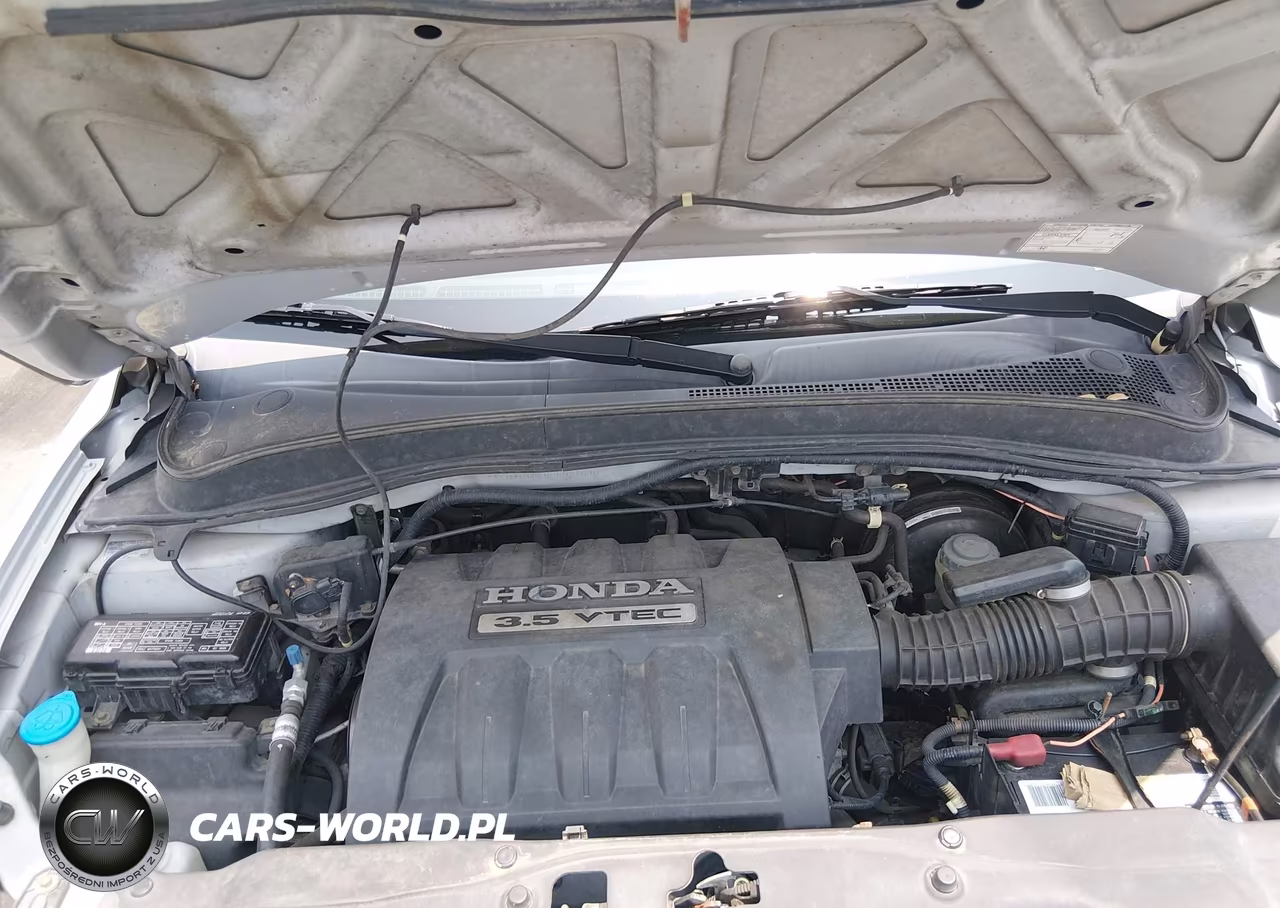 2005 Honda Pilot Ex-L VIN:5FNYF18565B031690 - 10