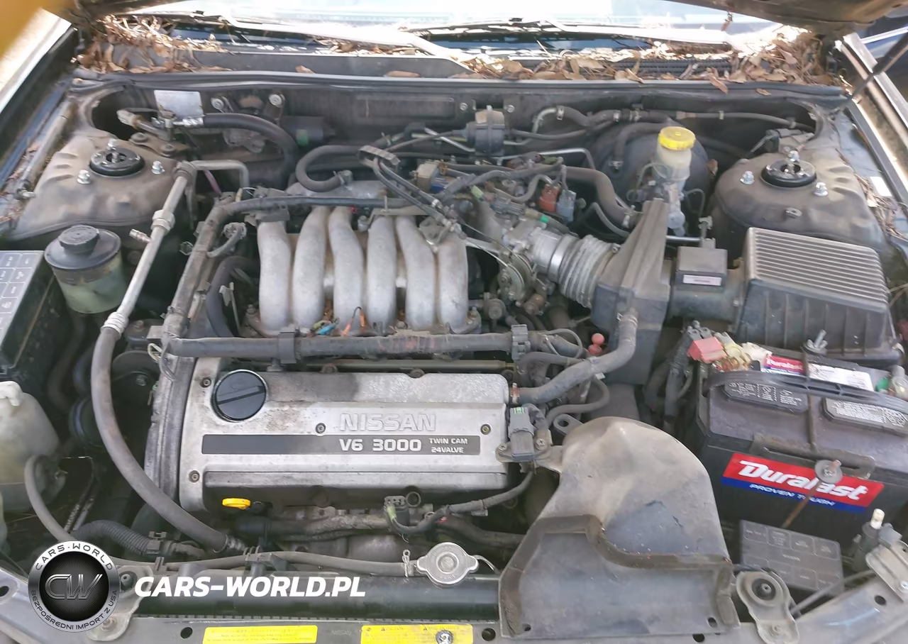 1999 Nissan Maxima Gle-Gxe-Se-Se-L VIN:JN1CA21D8XT803528 - 10