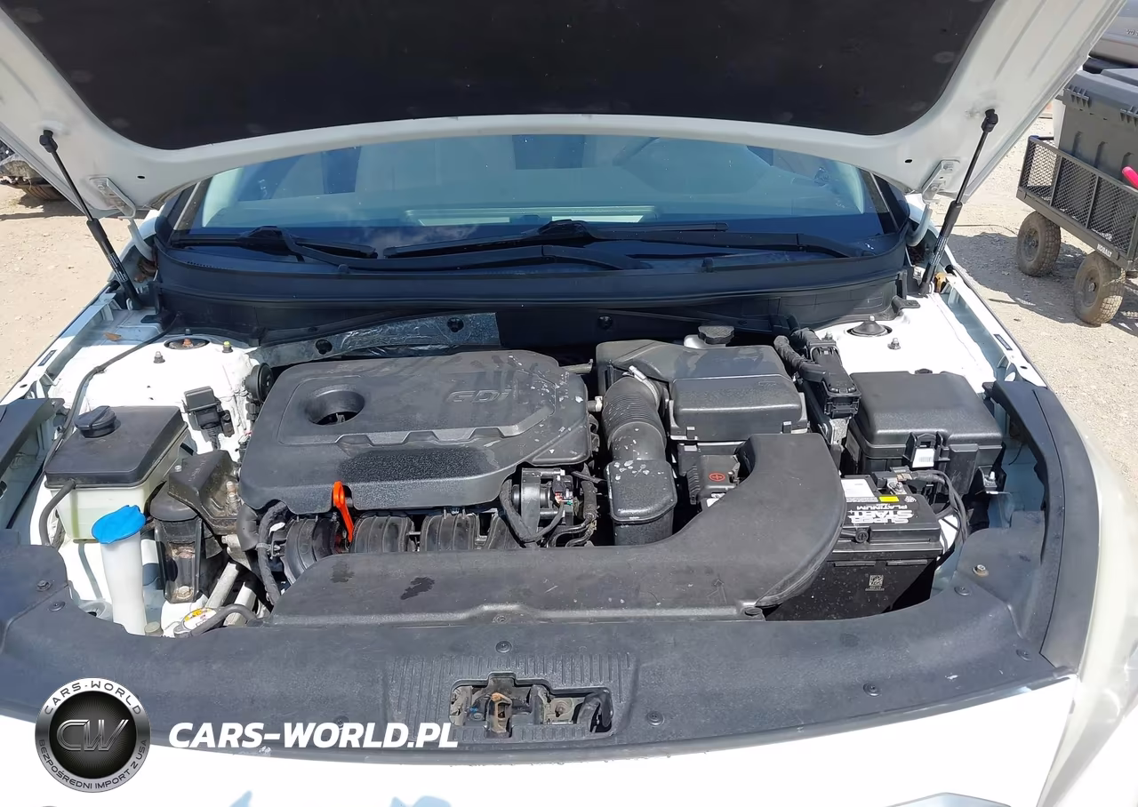 2015 Hyundai Sonata Se VIN:5NPE24AF6FH204811 - 10