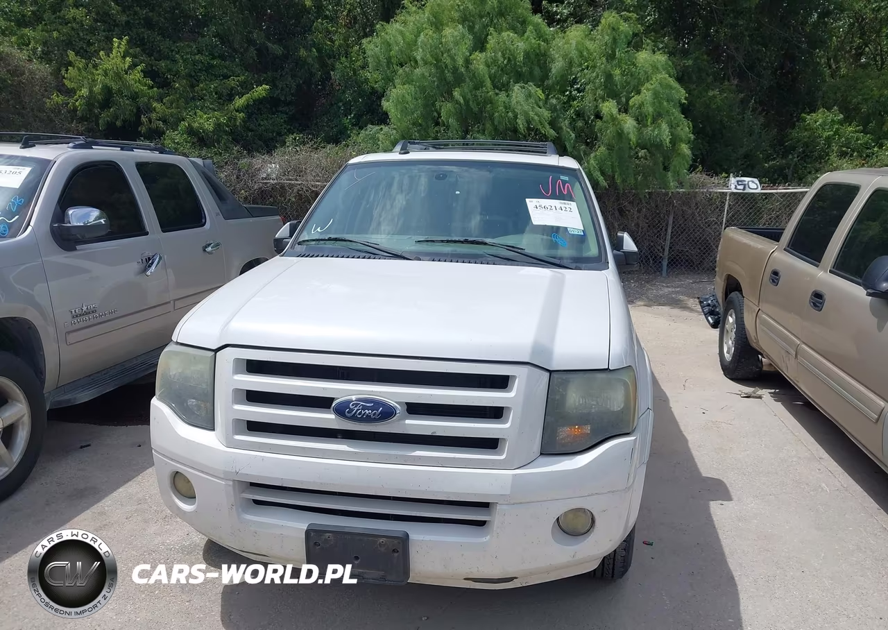 2010 Ford Expedition Limited VIN:1FMJU1K55AEA20512 - 12