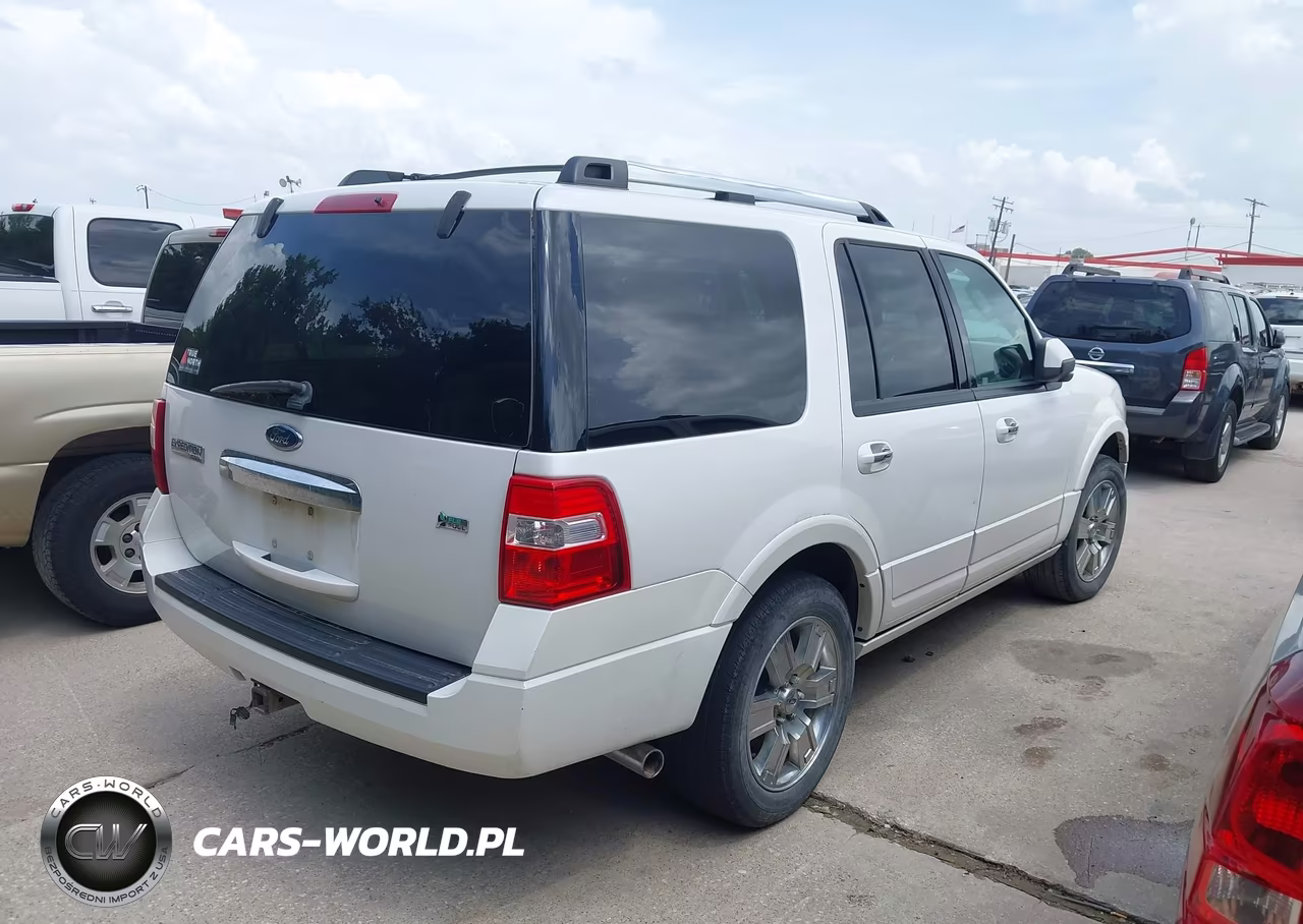2010 Ford Expedition Limited VIN:1FMJU1K55AEA20512 - 4
