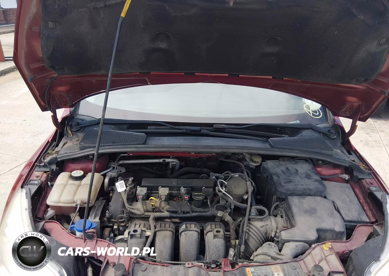2014 Ford Focus Se VIN:1FADP3F29EL340251 - 10
