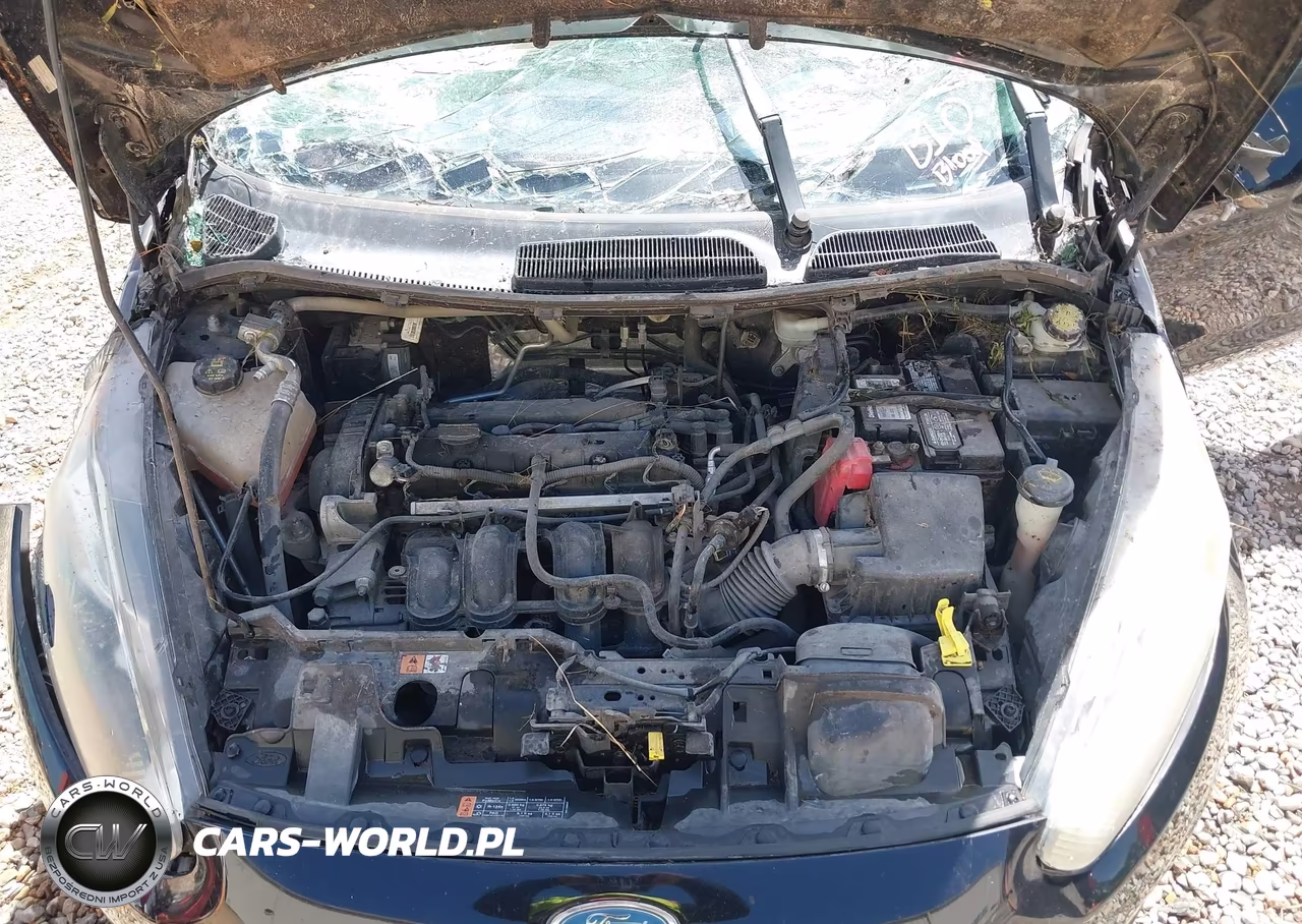2016 Ford Fiesta Se VIN:3FADP4BJ8GM119759 - 10