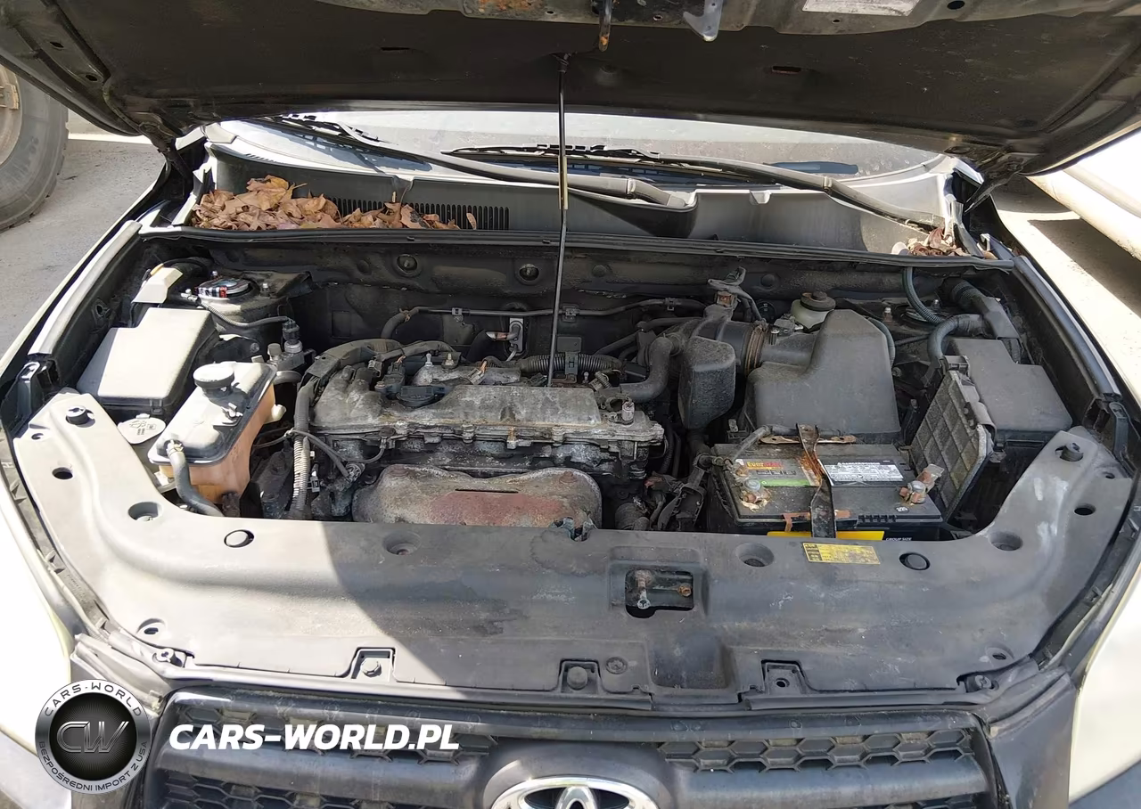 2009 Toyota Rav4 VIN:JTMZF33V29D006581 - 10