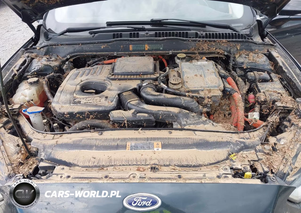 2014 Ford Fusion Energi Titanium VIN:3FA6P0SU4ER154472 - 10