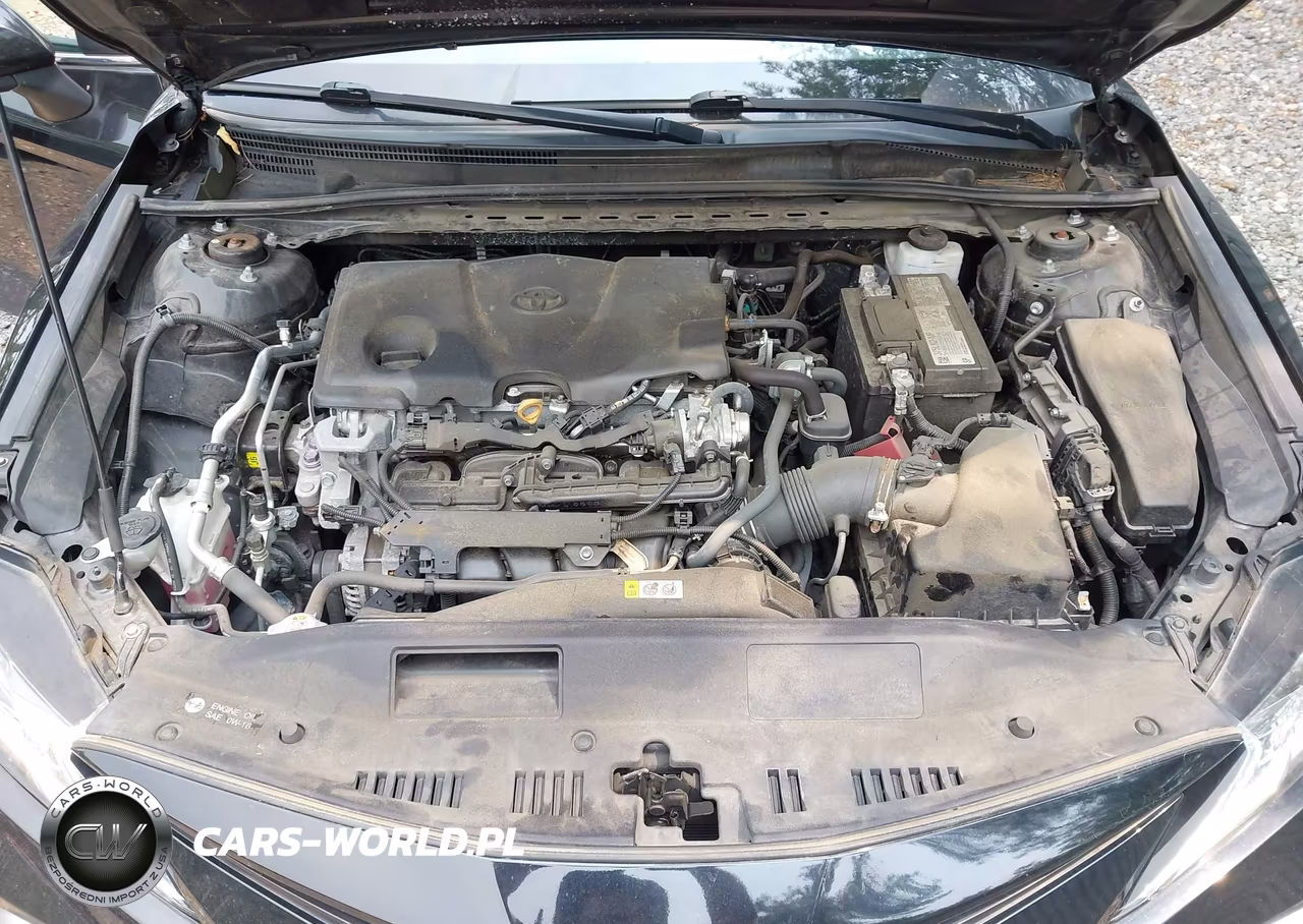 2021 Toyota Camry Le VIN:4T1C11AK1MU454719 - 10
