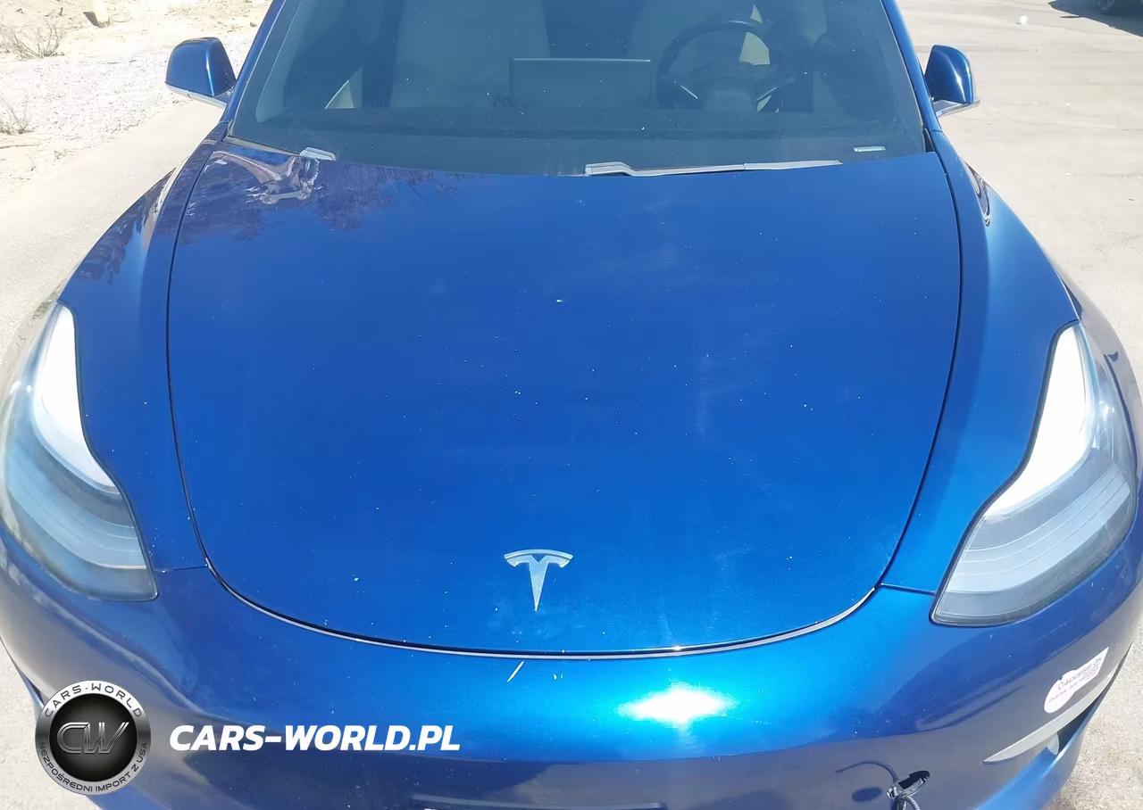 2019 Tesla Model 3 Long Range-Performance VIN:5YJ3E1EB4KF421478 - 10