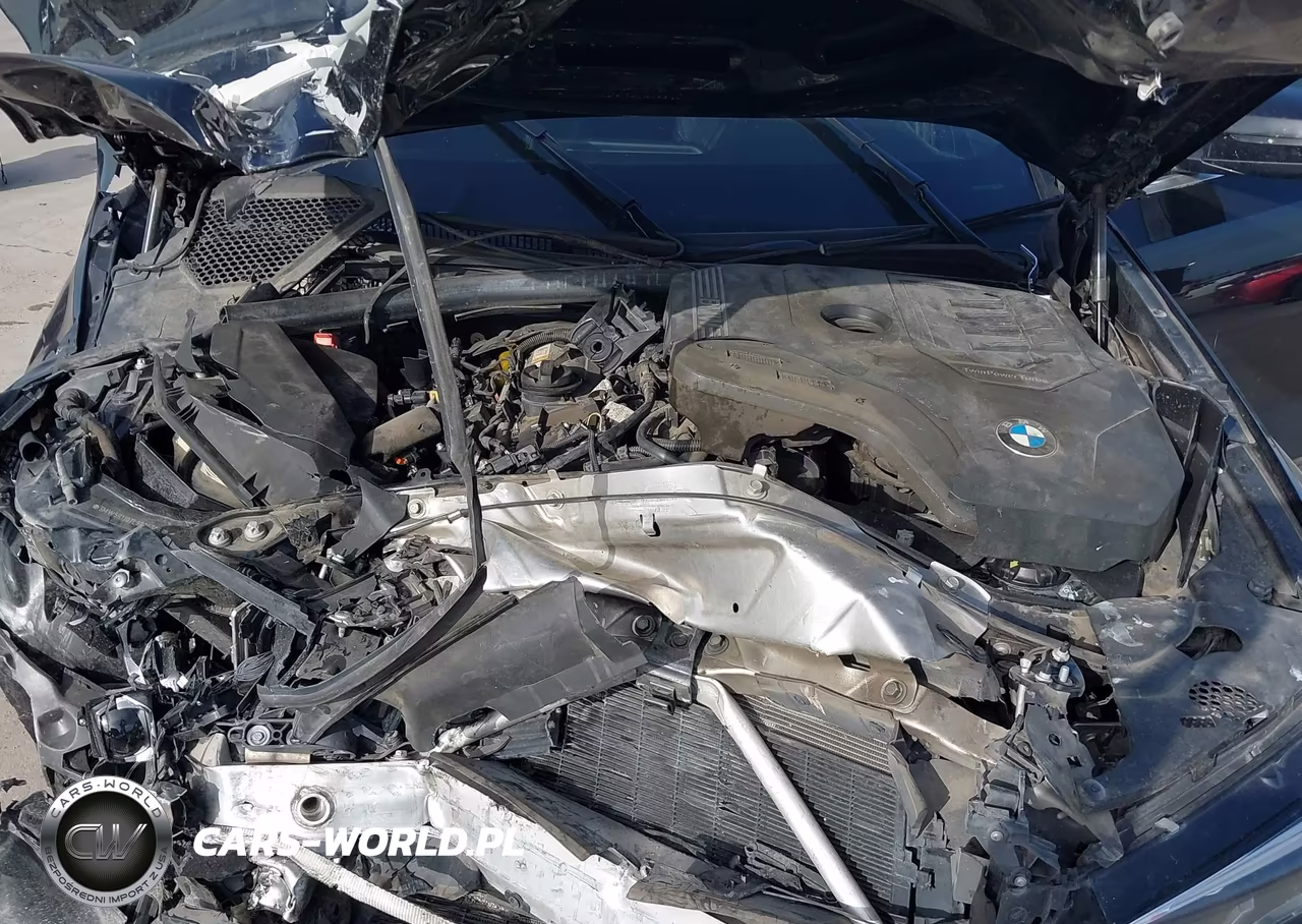 2020 BMW 330I VIN:3MW5R1J07L8B24306 - 10