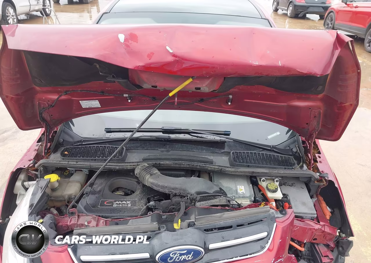 2013 Ford C-Max Energi Sel VIN:1FADP5CU1DL548978 - 10