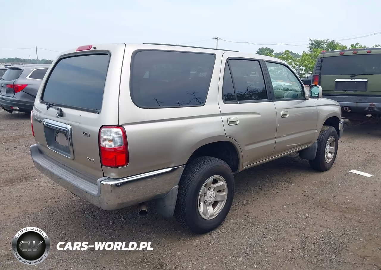 2002 Toyota 4Runner Sr5 V6 VIN:JT3GN86R020250303 - 4