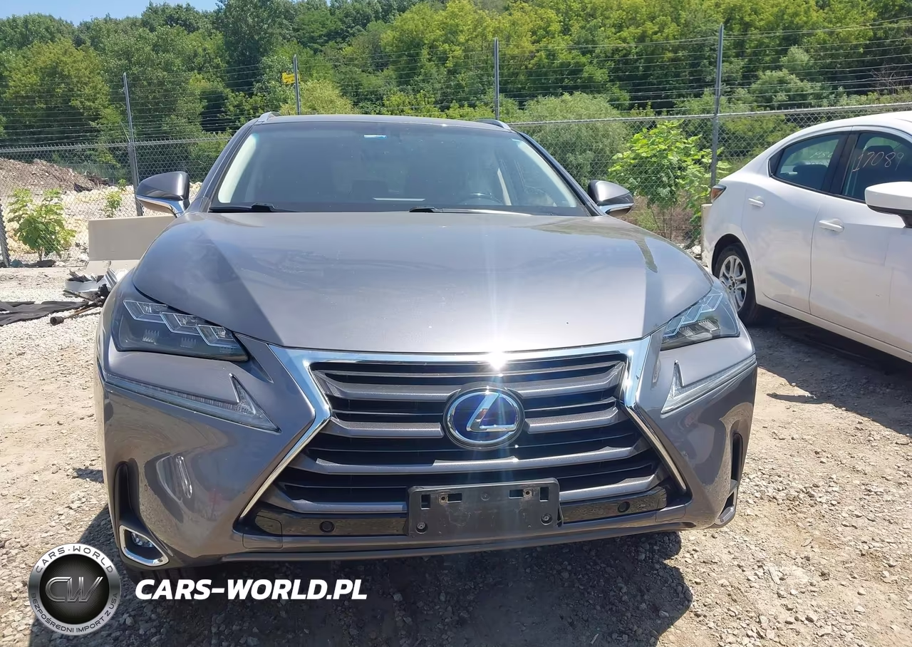 2017 Lexus Nx 300H VIN:JTJBJRBZ1H2068925 - 12