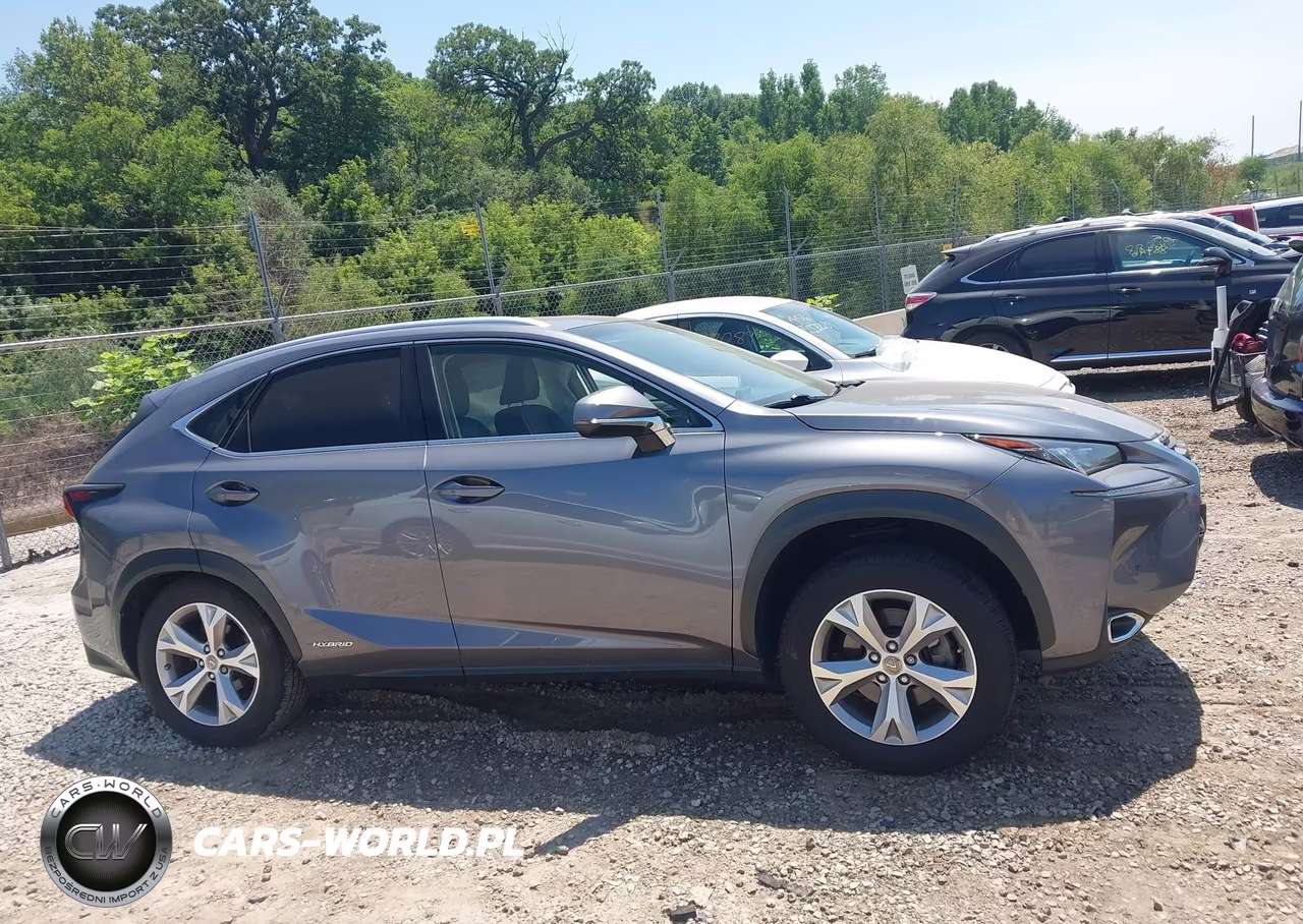 2017 Lexus Nx 300H VIN:JTJBJRBZ1H2068925 - 13