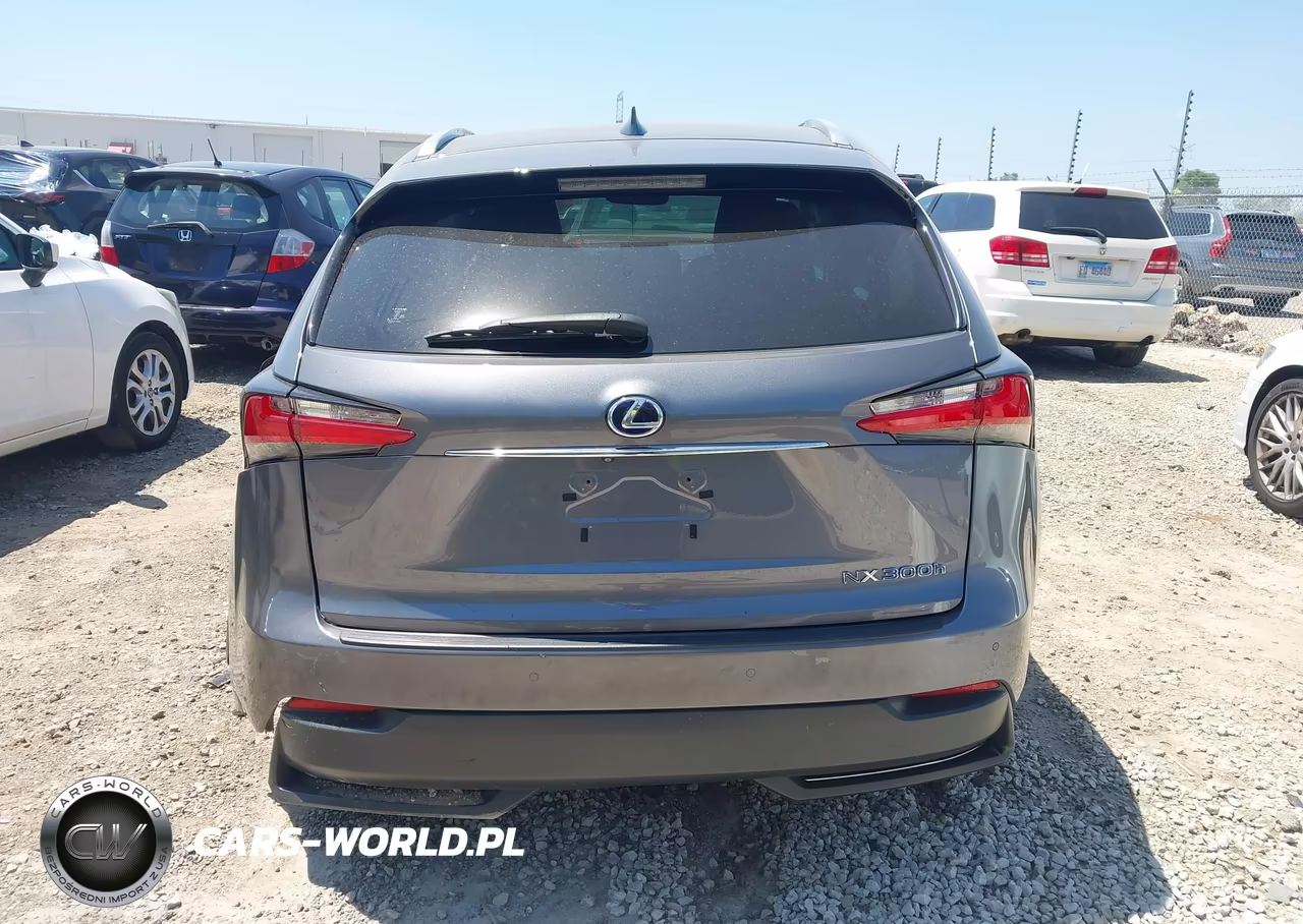 2017 Lexus Nx 300H VIN:JTJBJRBZ1H2068925 - 16