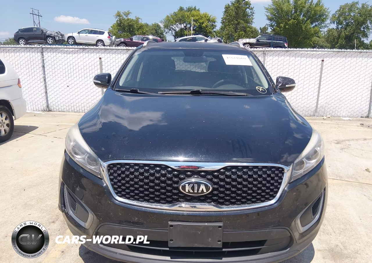 2016 Kia Sorento 3.3L Lx VIN:5XYPG4A51GG036599 - 12