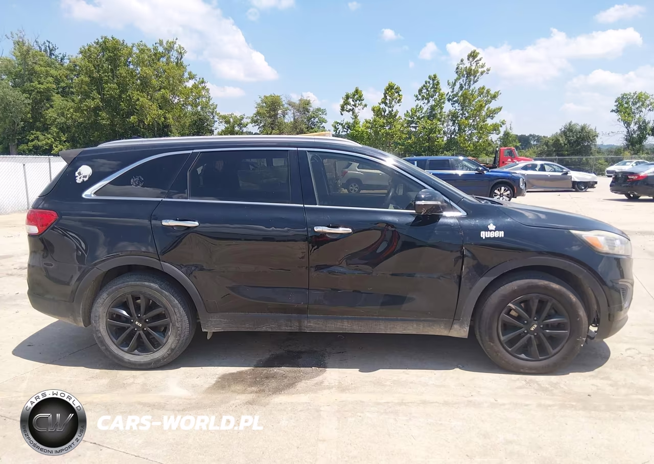 2016 Kia Sorento 3.3L Lx VIN:5XYPG4A51GG036599 - 13