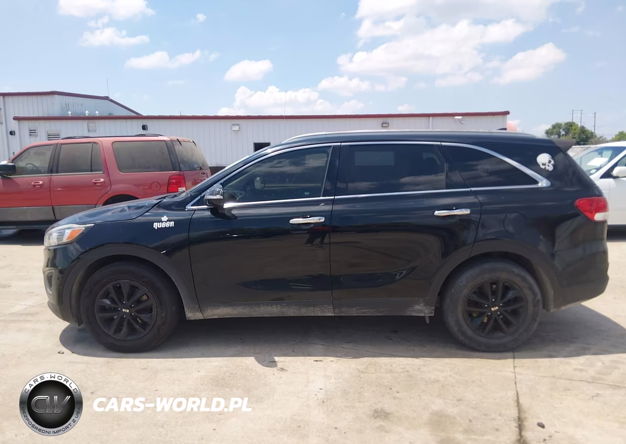 2016 Kia Sorento 3.3L Lx VIN:5XYPG4A51GG036599 - 14