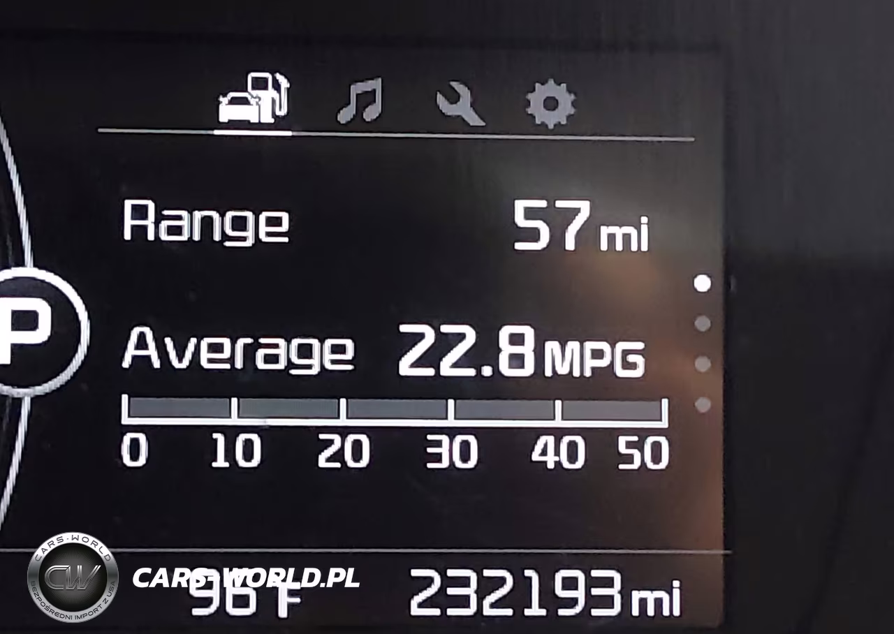 2016 Kia Sorento 3.3L Lx VIN:5XYPG4A51GG036599 - 15