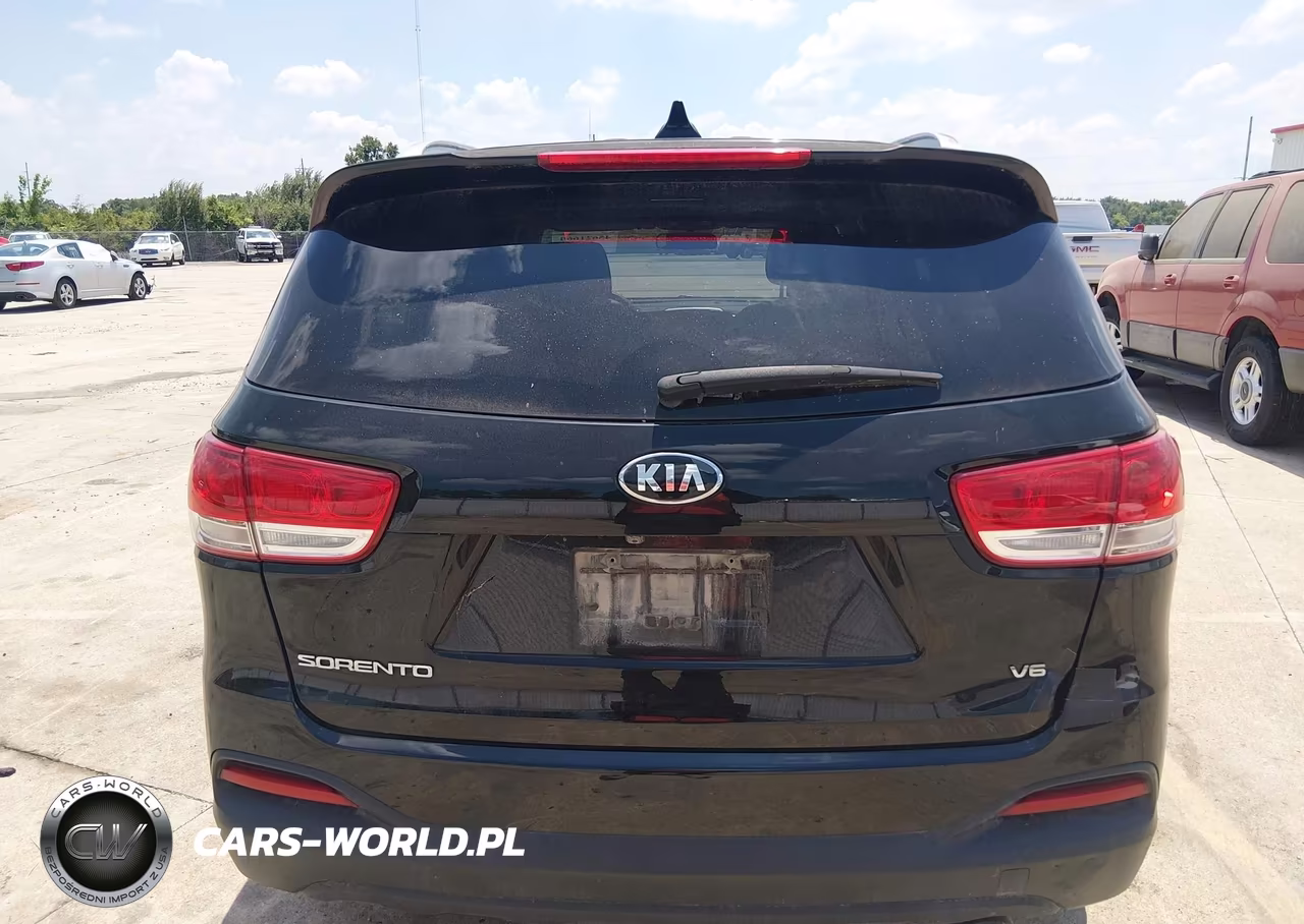 2016 Kia Sorento 3.3L Lx VIN:5XYPG4A51GG036599 - 16