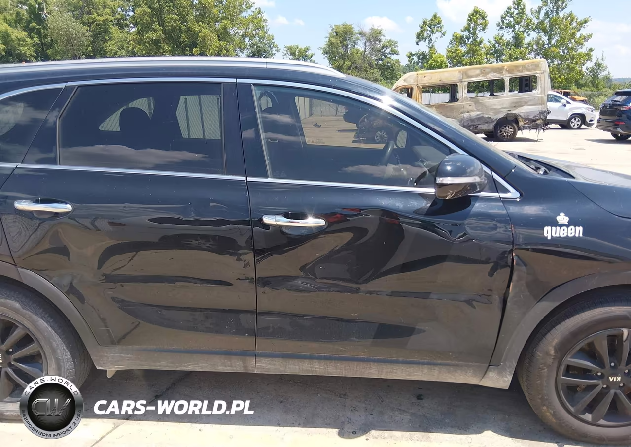 2016 Kia Sorento 3.3L Lx VIN:5XYPG4A51GG036599 - 6
