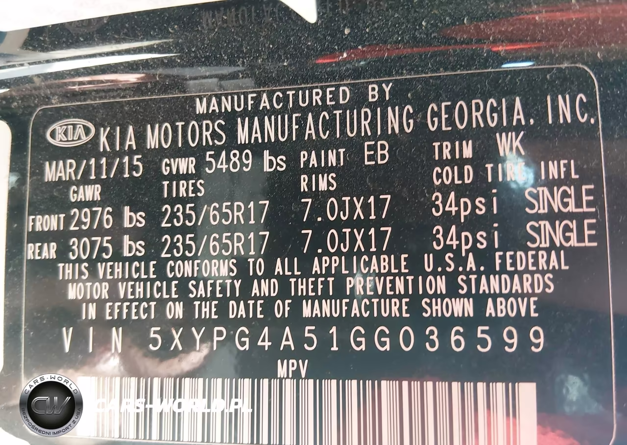 2016 Kia Sorento 3.3L Lx VIN:5XYPG4A51GG036599 - 9