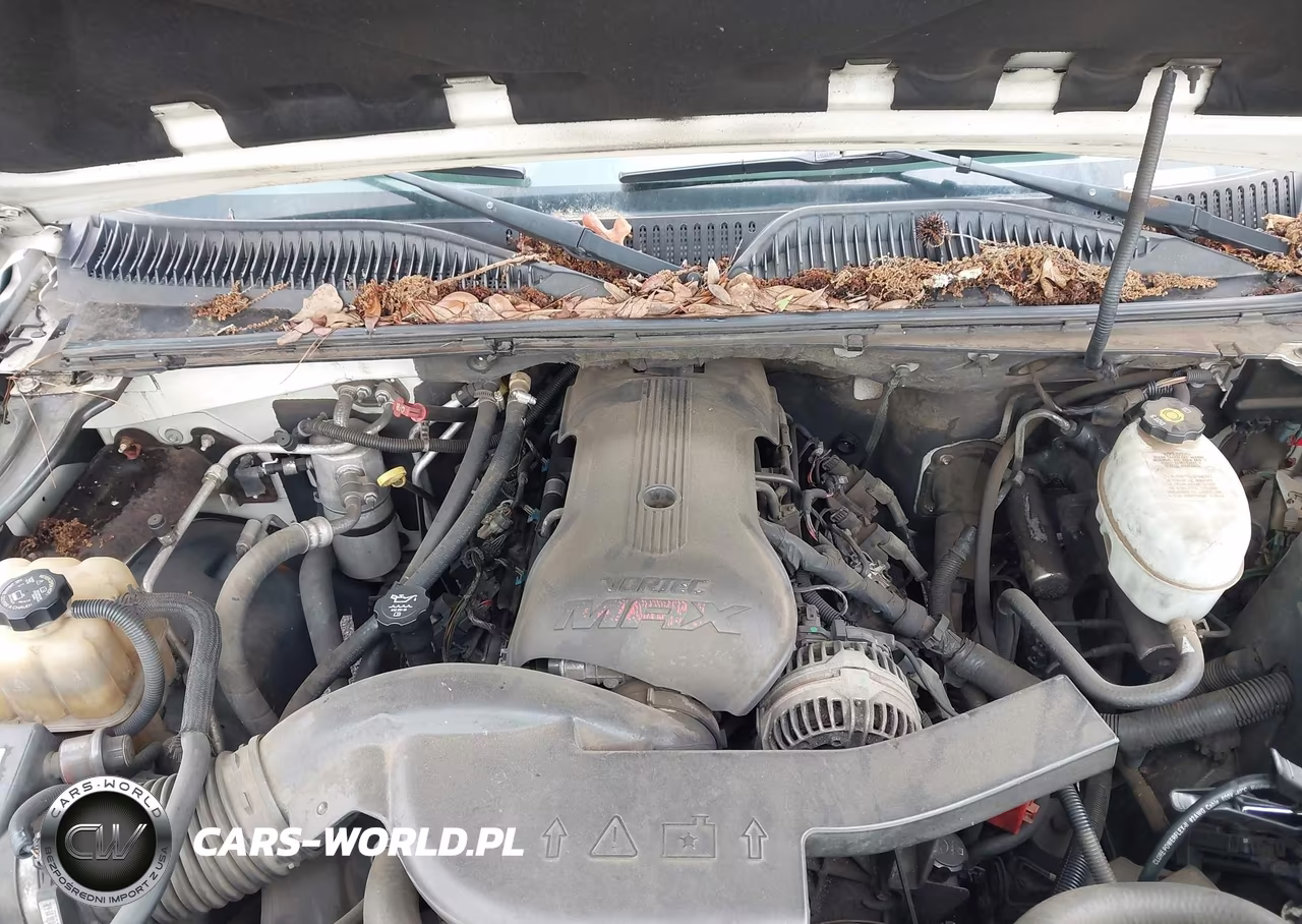 2006 Cadillac Escalade Standard VIN:1GYEK63NX6R126844 - 10