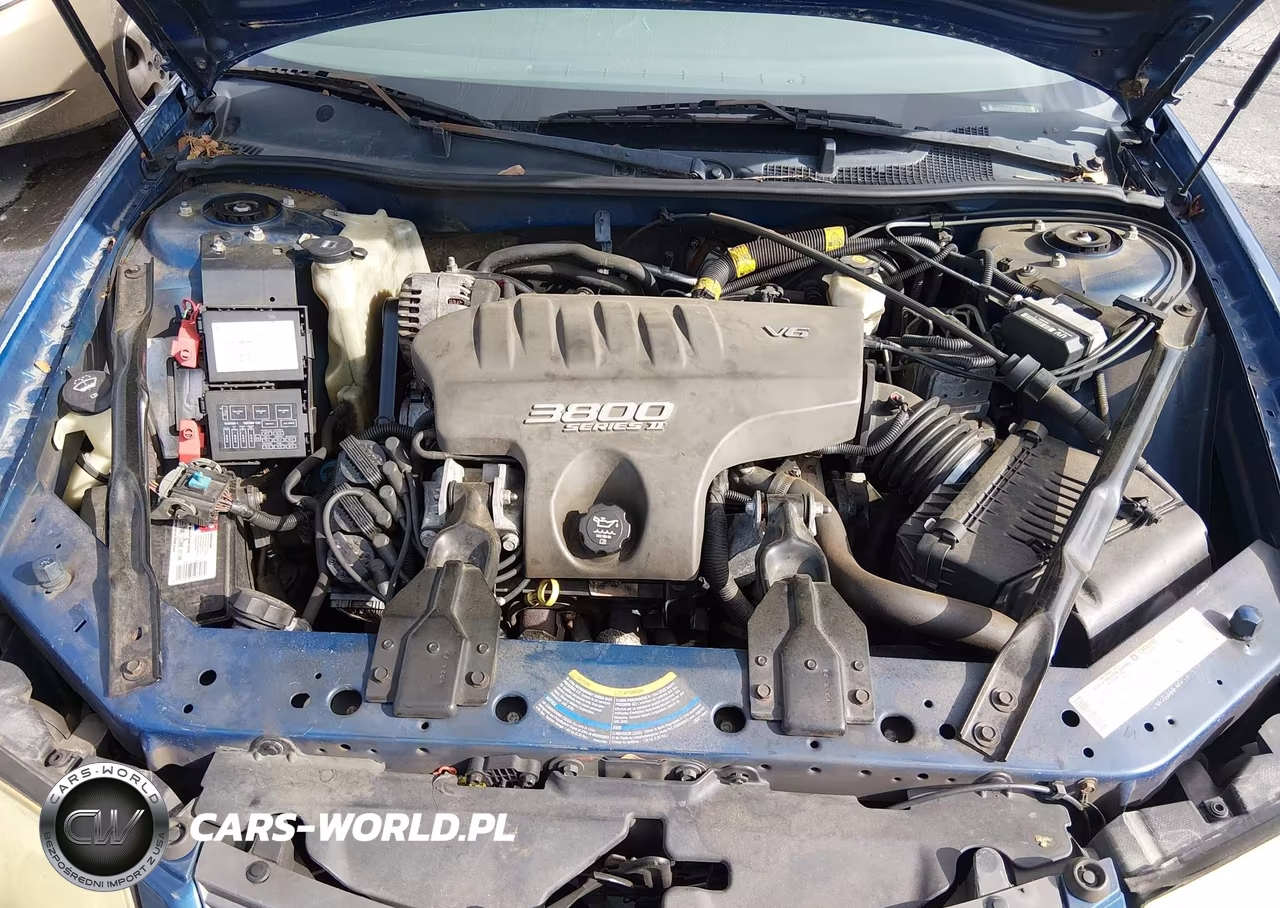 CHEVROLET IMPALA LS VIN:2G1WH55K949261769 - 10