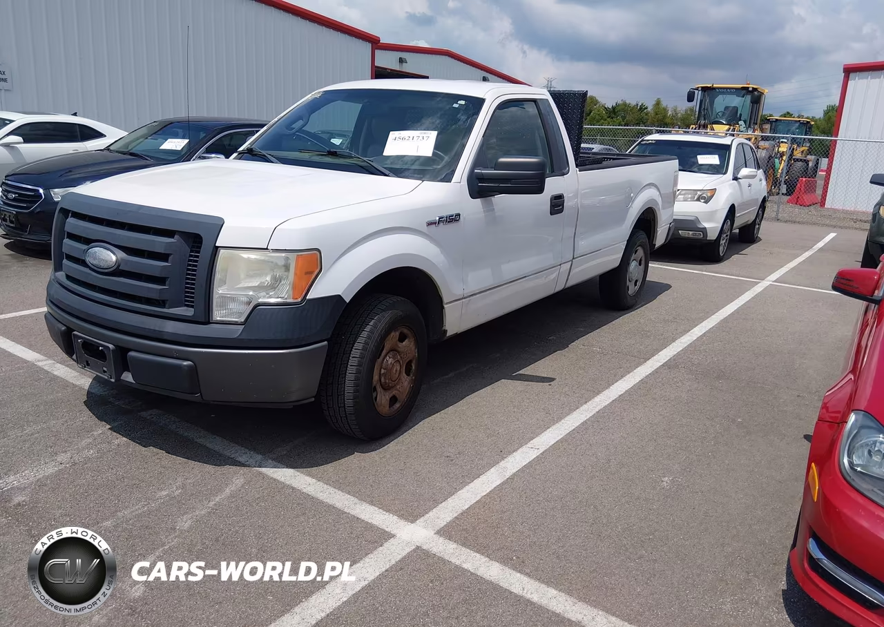 2009 Ford F-150 VIN:1FTRF12W99KB97944 - 2