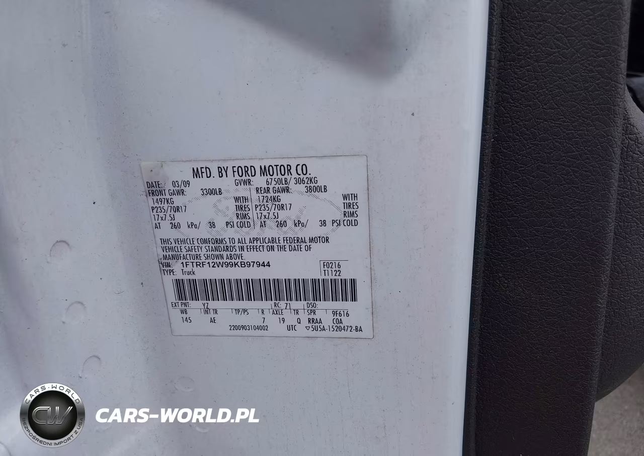 2009 Ford F-150 VIN:1FTRF12W99KB97944 - 9