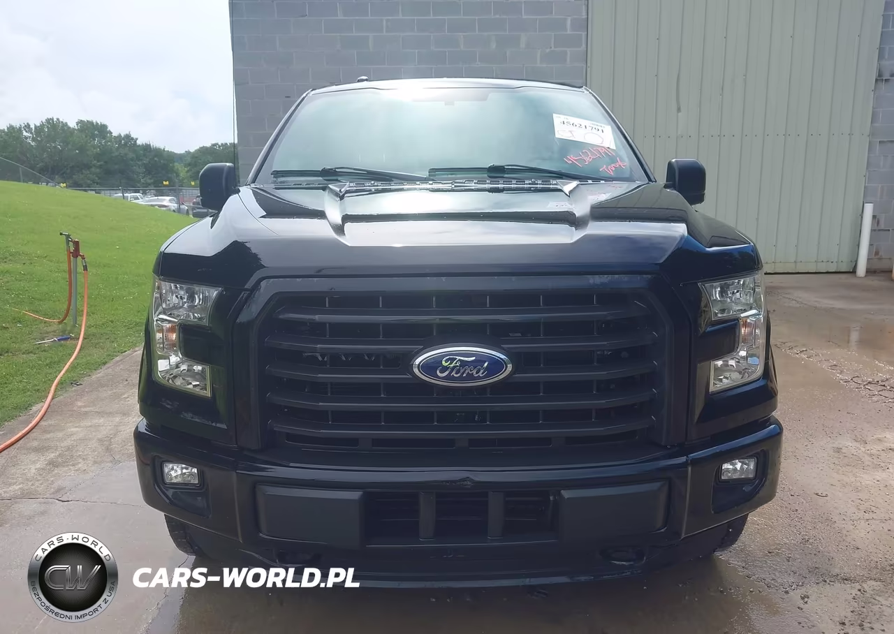 2016 Ford F-150 Xlt VIN:1FTEW1EP4GFB69266 - 12
