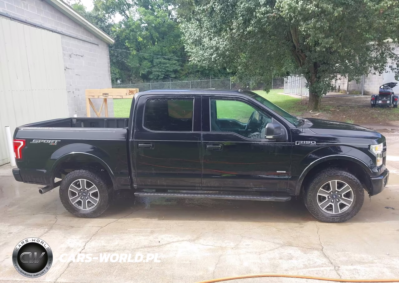 2016 Ford F-150 Xlt VIN:1FTEW1EP4GFB69266 - 13