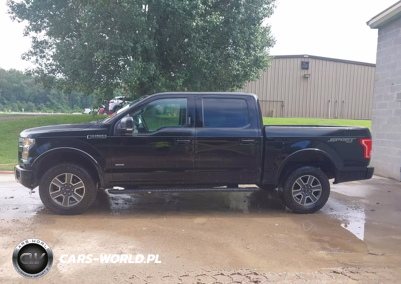 2016 Ford F-150 Xlt VIN:1FTEW1EP4GFB69266 - 14