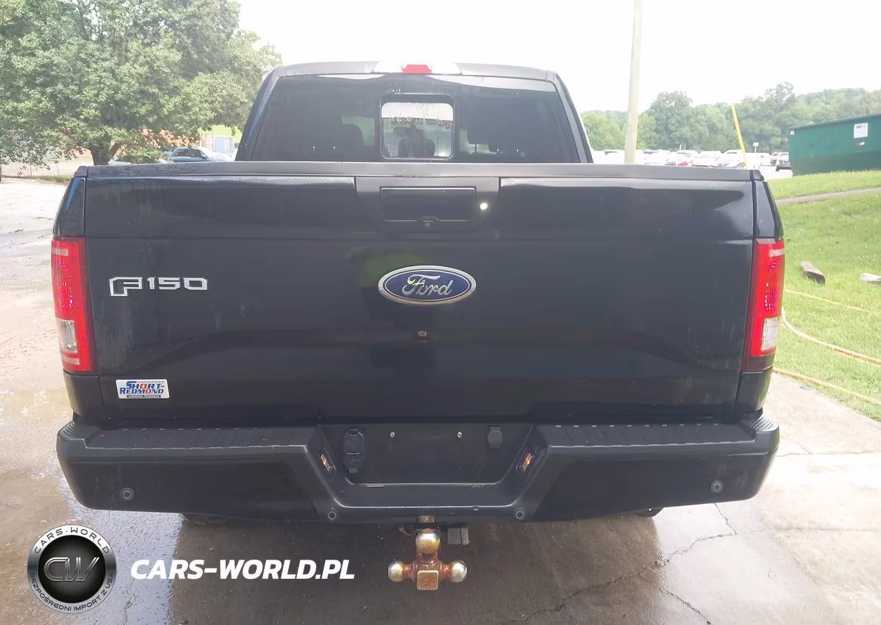 2016 Ford F-150 Xlt VIN:1FTEW1EP4GFB69266 - 16