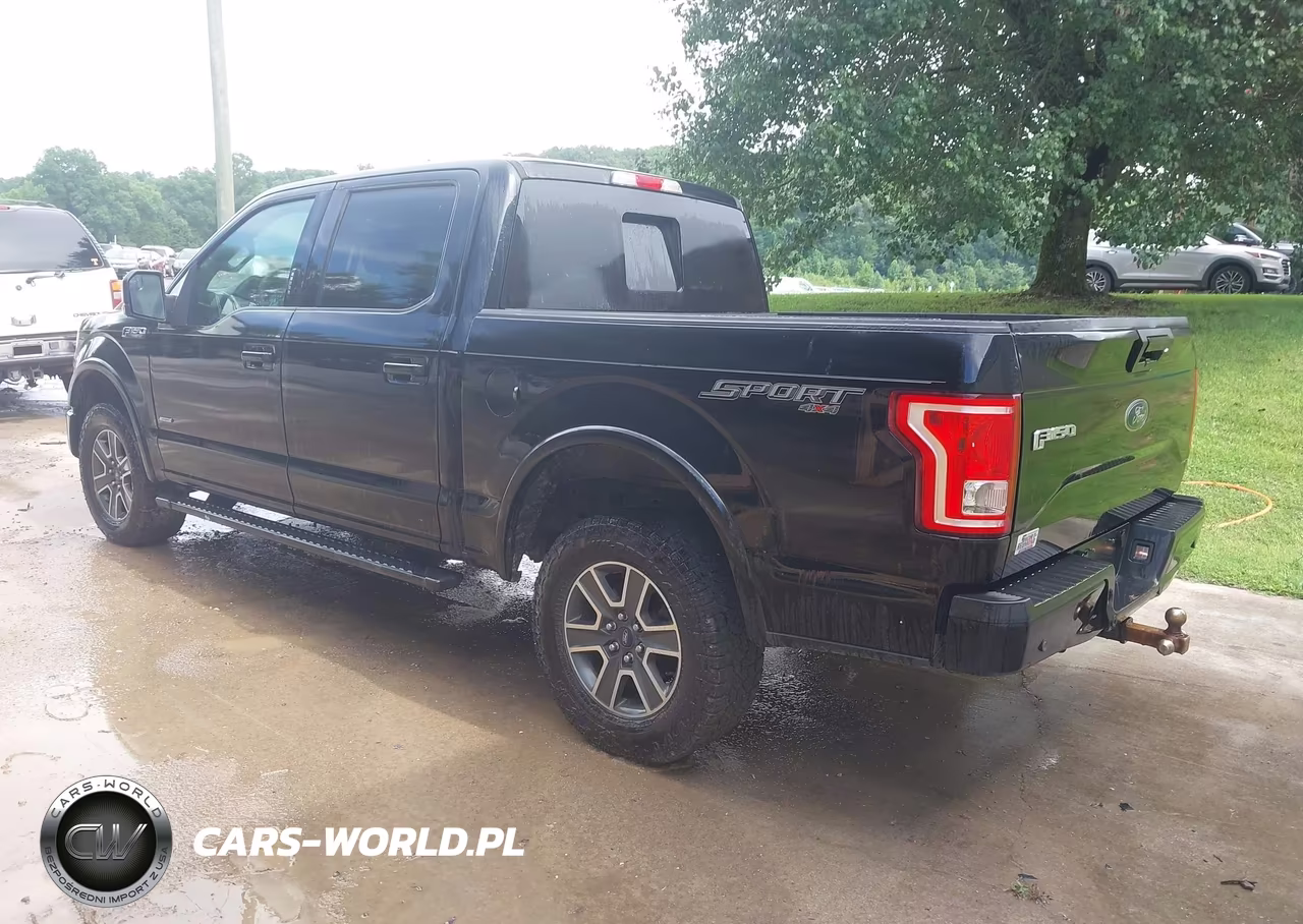 2016 Ford F-150 Xlt VIN:1FTEW1EP4GFB69266 - 3