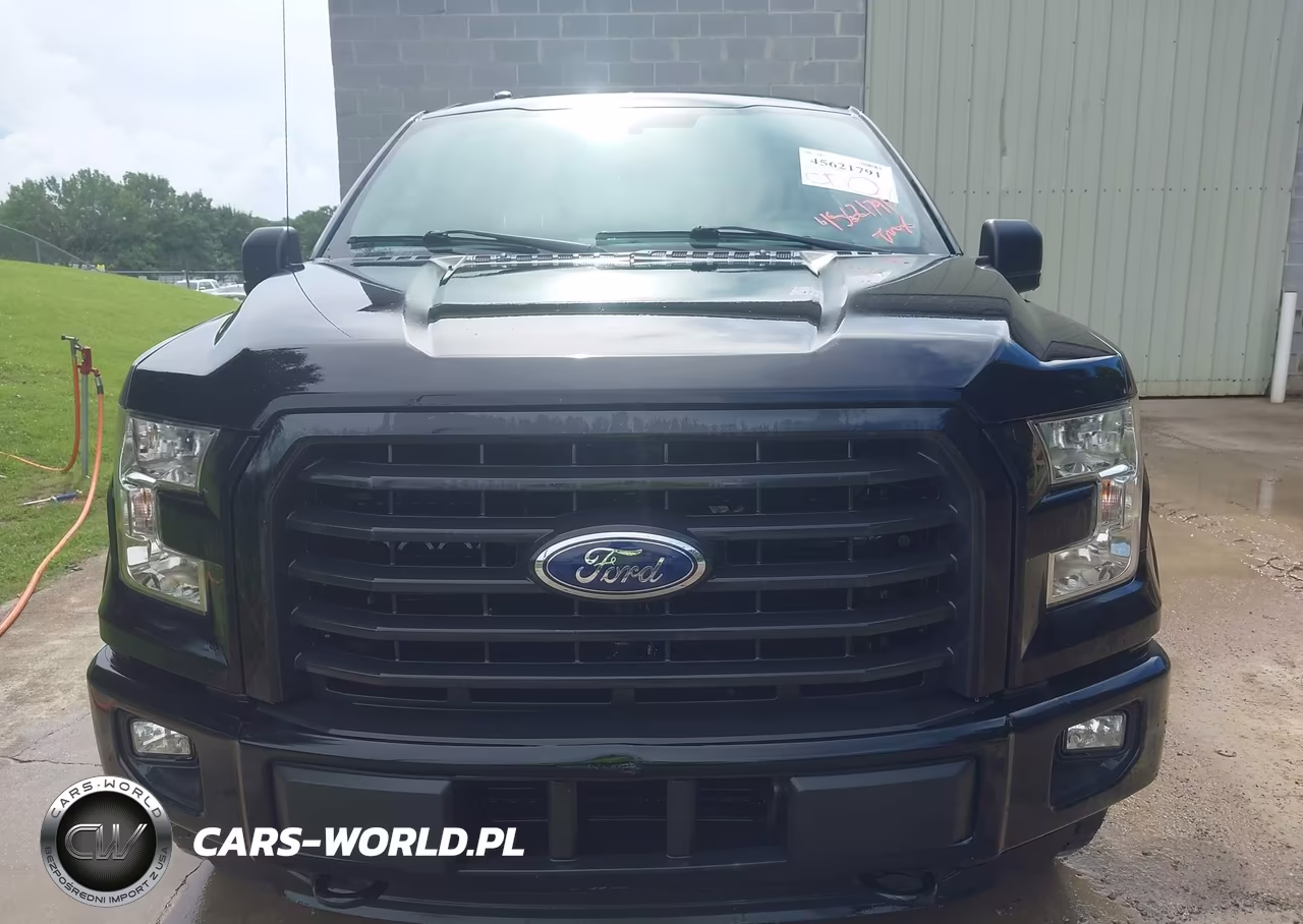 2016 Ford F-150 Xlt VIN:1FTEW1EP4GFB69266 - 6