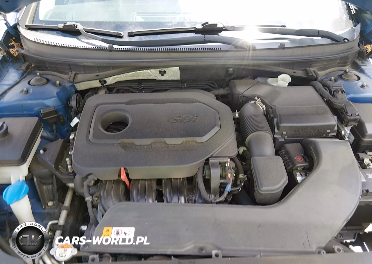 2017 Hyundai Sonata VIN:5NPE24AF5HH491321 - 10