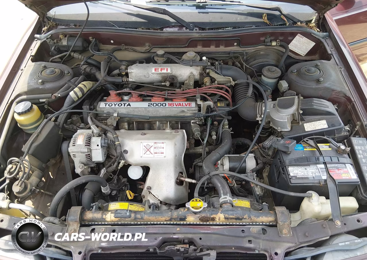 1991 Toyota Camry Dlx VIN:4T1SV21E3MU357568 - 10
