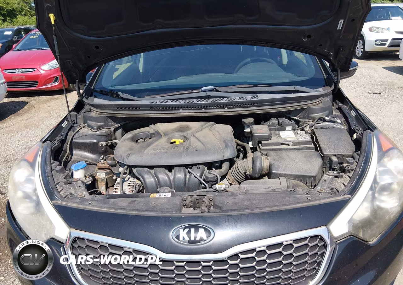 2015 Kia Forte Lx VIN:KNAFX4A6XF5330866 - 10