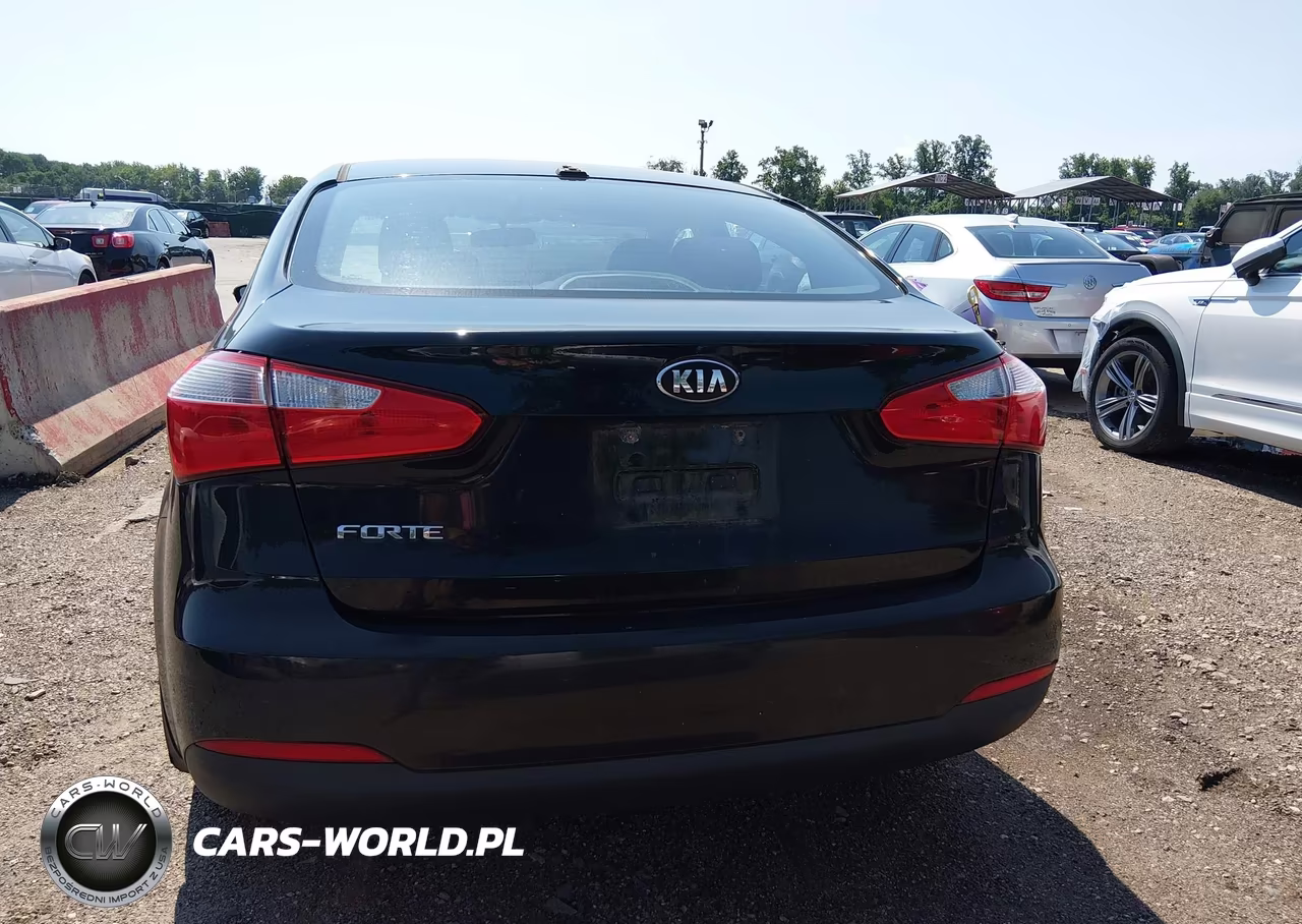 2015 Kia Forte Lx VIN:KNAFX4A6XF5330866 - 13