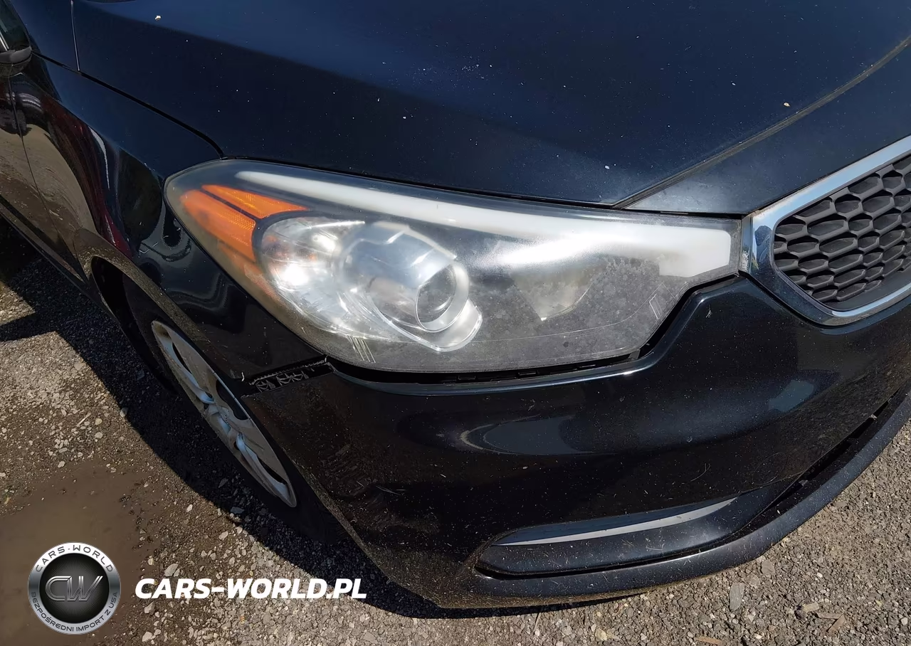 2015 Kia Forte Lx VIN:KNAFX4A6XF5330866 - 15