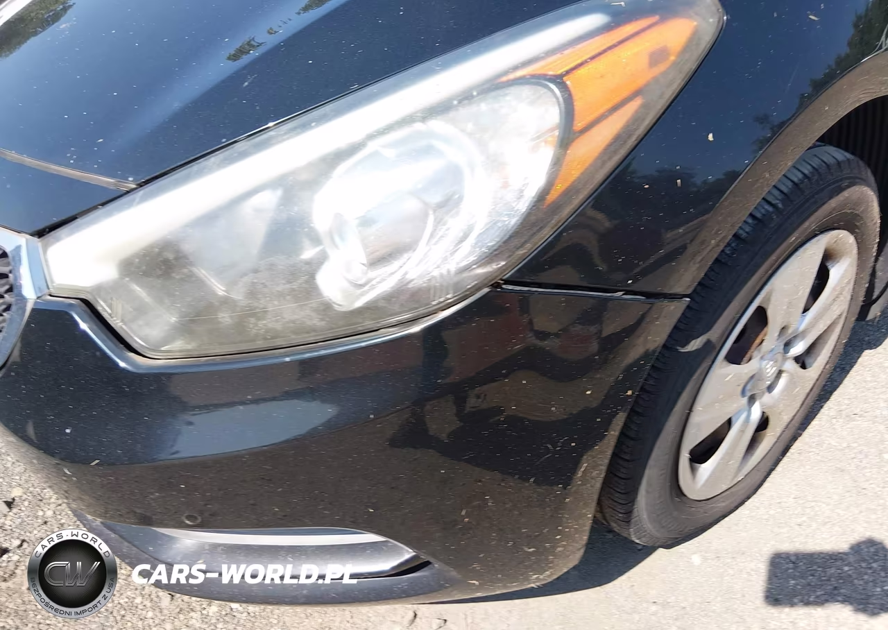 2015 Kia Forte Lx VIN:KNAFX4A6XF5330866 - 16