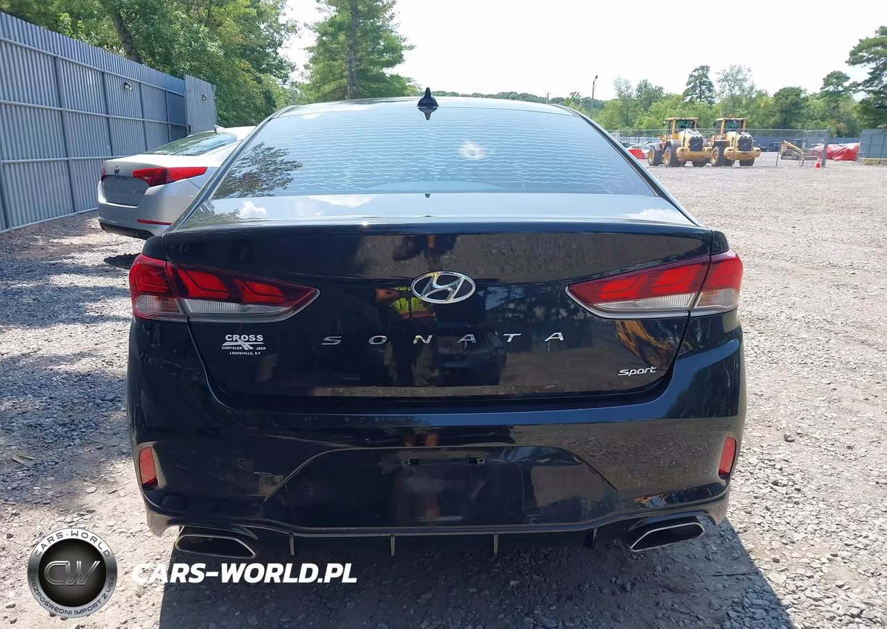 2018 Hyundai Sonata Sport VIN:5NPE34AF6JH656456 - 16