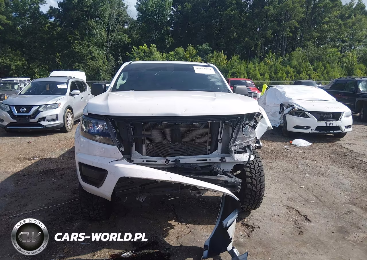 2016 Chevrolet Colorado 2Wd Wt VIN:1GCGSBEA7G1247445 - 12