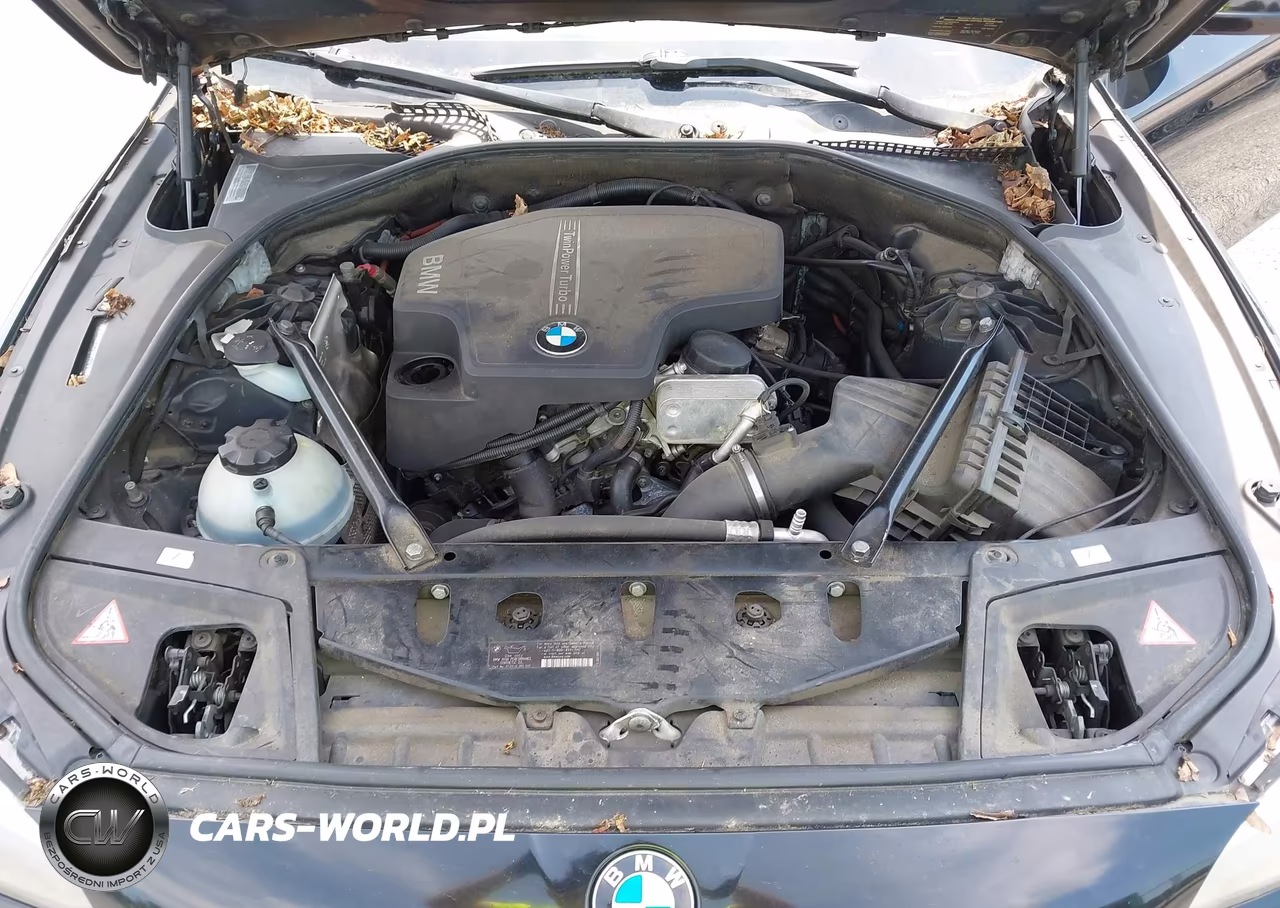 2013 BMW 528I VIN:WBAXG5C51DDY37916 - 10