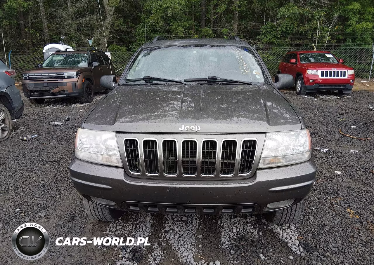 2002 Jeep Grand Cherokee Limited VIN:1J4GW58N02C184636 - 12