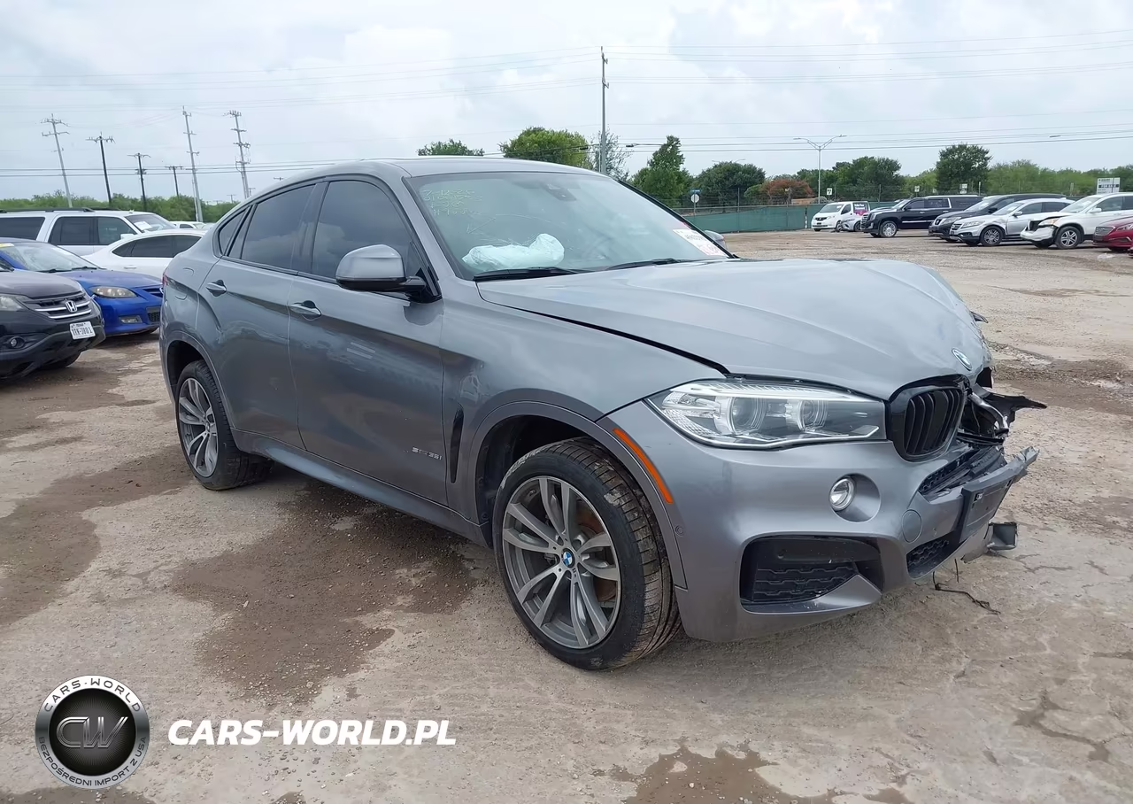 2019 BMW X6 Sdrive35I – zdjęcie 1 z 17