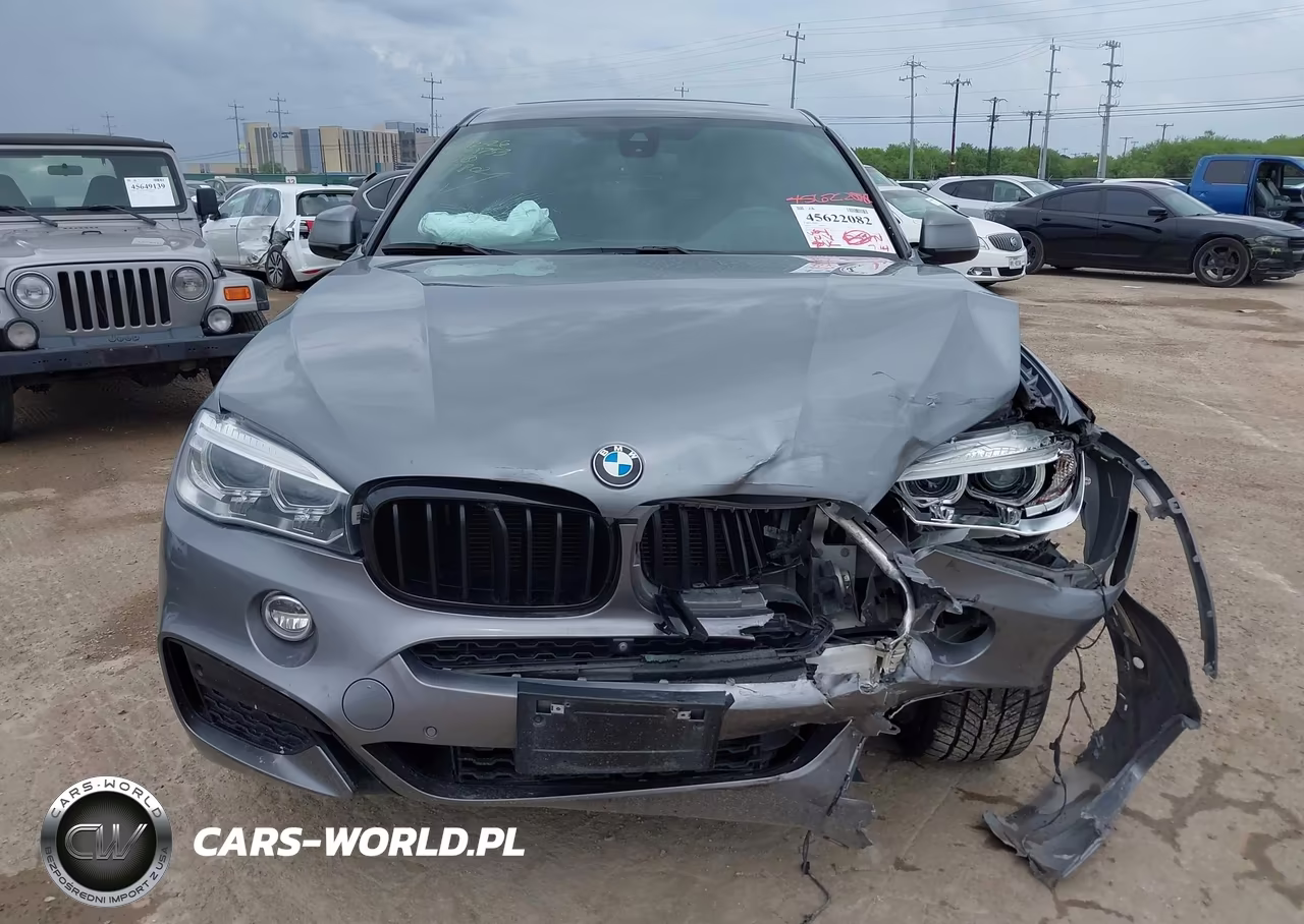 2019 BMW X6 Sdrive35I VIN:5UXKU0C50K0H98802 - 13