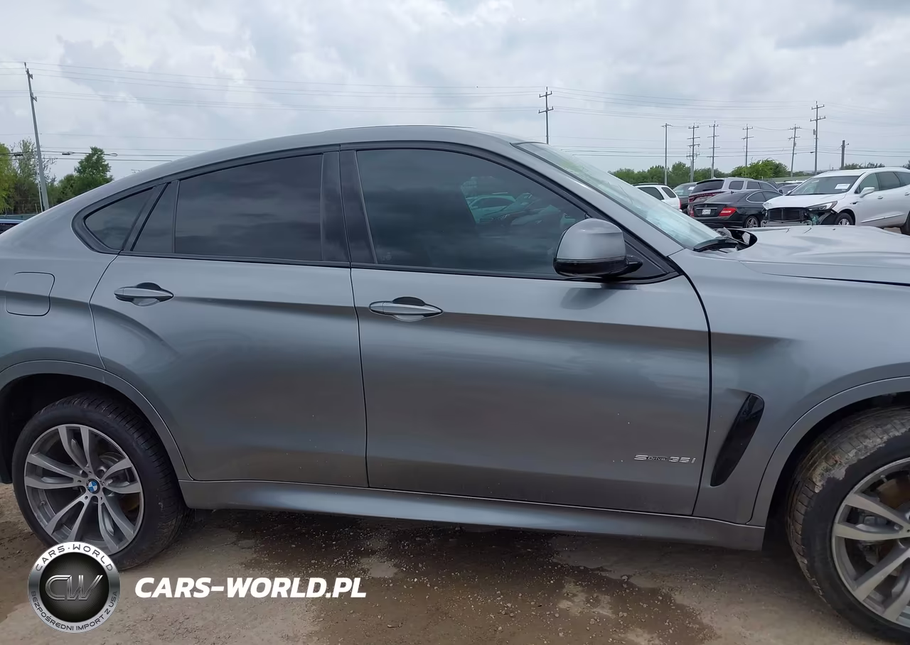 2019 BMW X6 Sdrive35I VIN:5UXKU0C50K0H98802 - 14