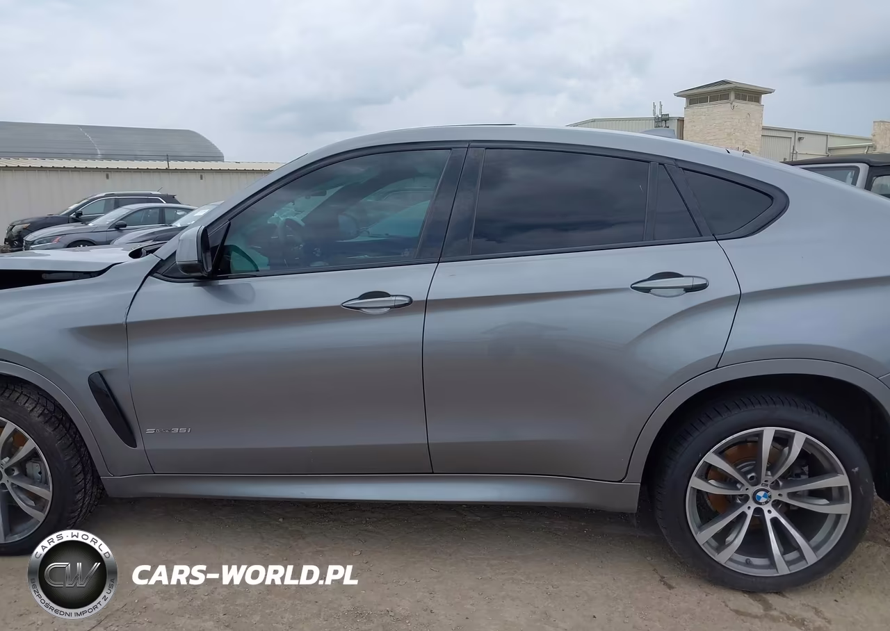 2019 BMW X6 Sdrive35I VIN:5UXKU0C50K0H98802 - 15